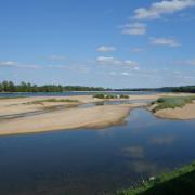 La Loire au Thoureil